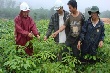 Cao su đổi phận đất nghèo